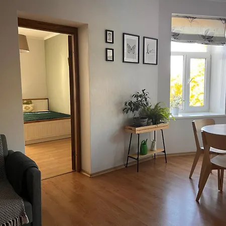 公寓 Nice&cozy Flat No7 里加